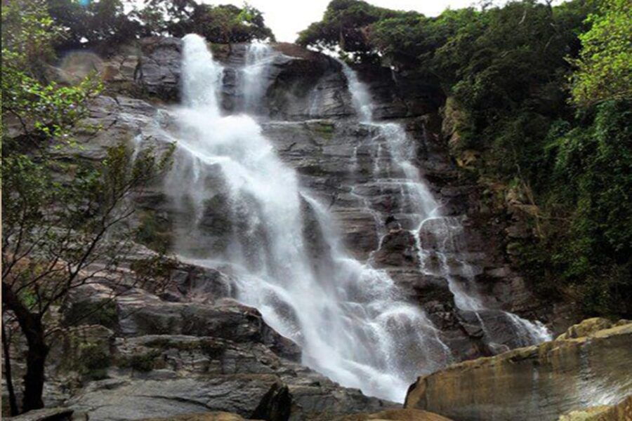 Ella :- Private TukTuk Transfer to Visari Waterfalls