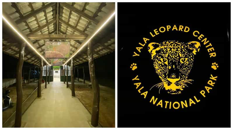 Ella: Transfer to Mirissa/Galle W YALA & UDAWALAWA Safaris