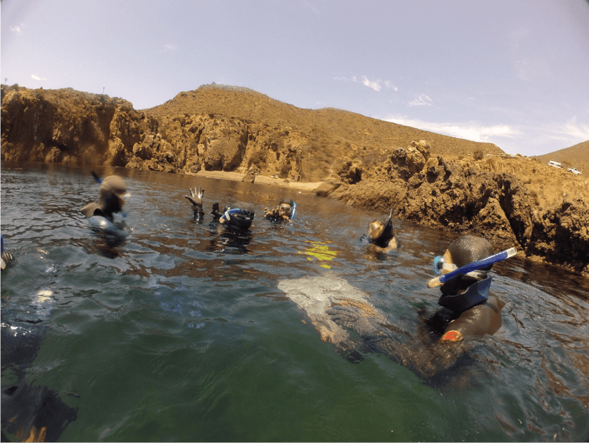 Ensenada: Bahia De Arbolitos Snorkeling Tour With Lunch - Tour Overview