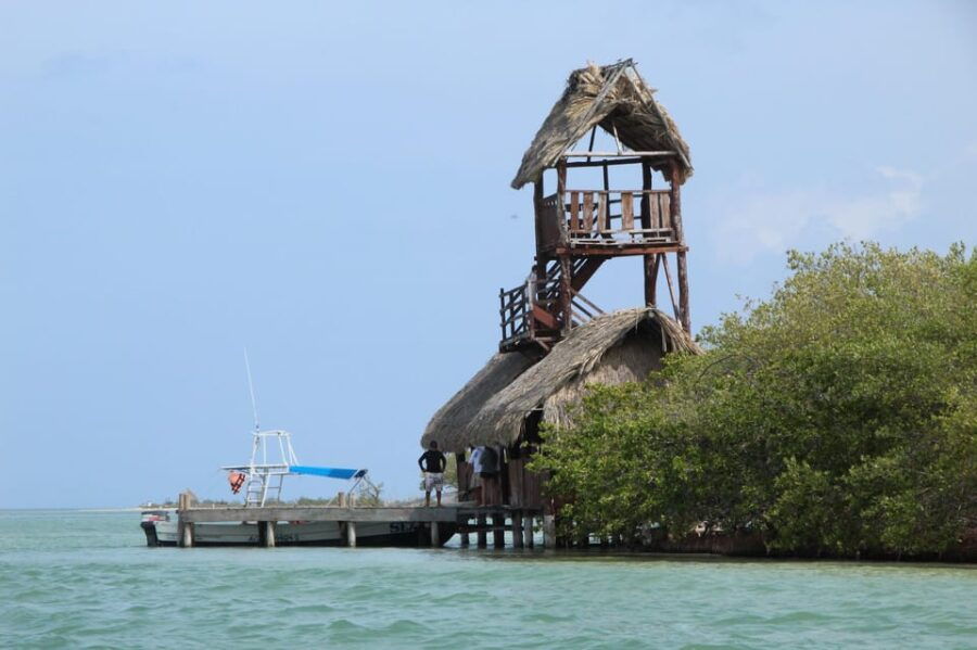 Exclusive Full Day Nature Expedition to Holbox Island