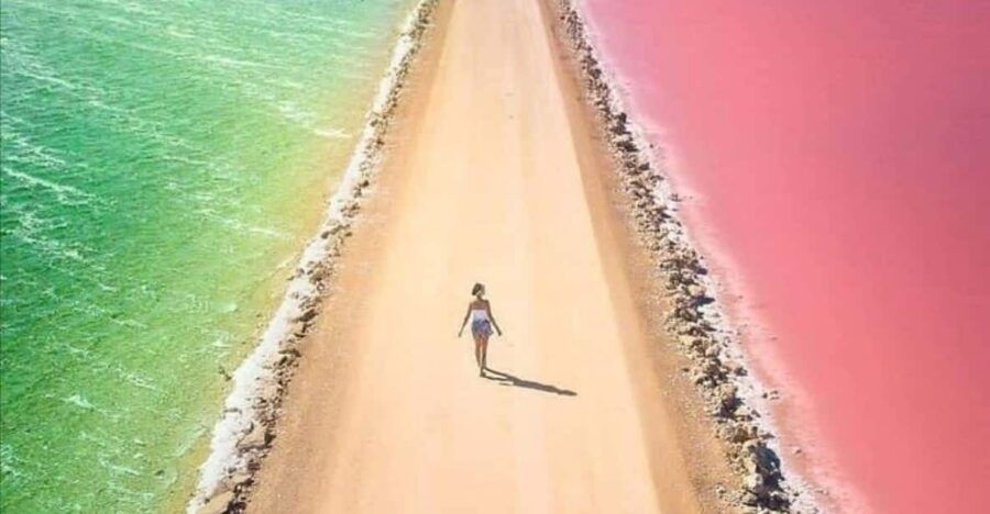 Excursion to Río Lagartos, Coloradas, and Playa Cancúnito