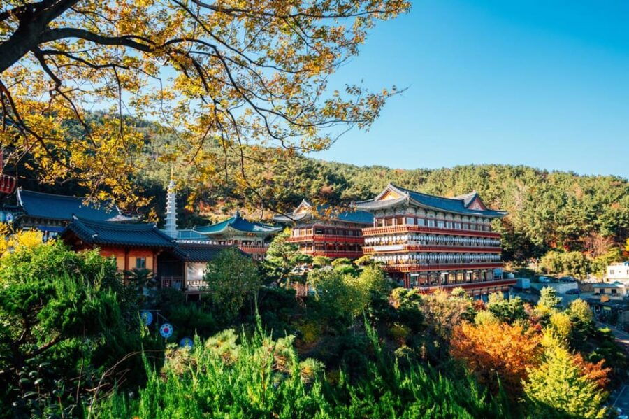 Explore Busan: Cultural Highlights and Scenic Full-Day Tour