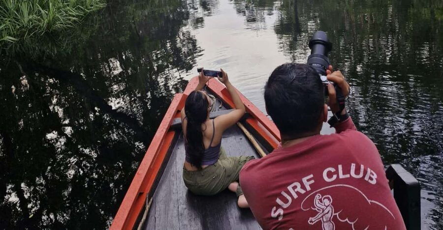 Explore Jungle in Borneo and Orangutan Kelotok Tour 3D/2N - Tour Overview