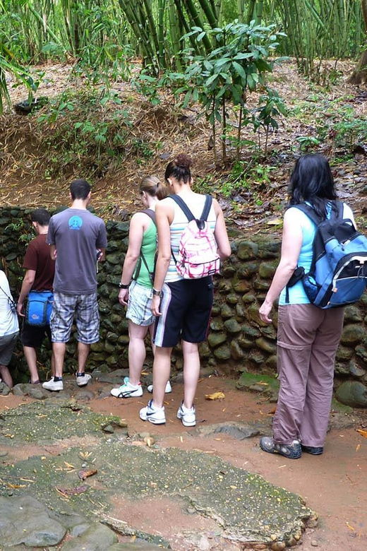 Explore the Ingenuity of the Cu Chi Tunnel Network