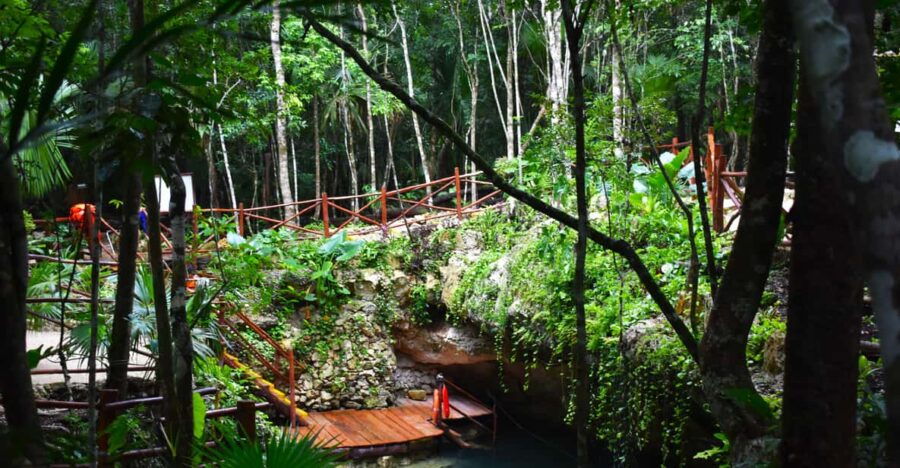Extreme Jungle Cenotes and Snorkeling at Puerto Morelos Reef - Tour Overview