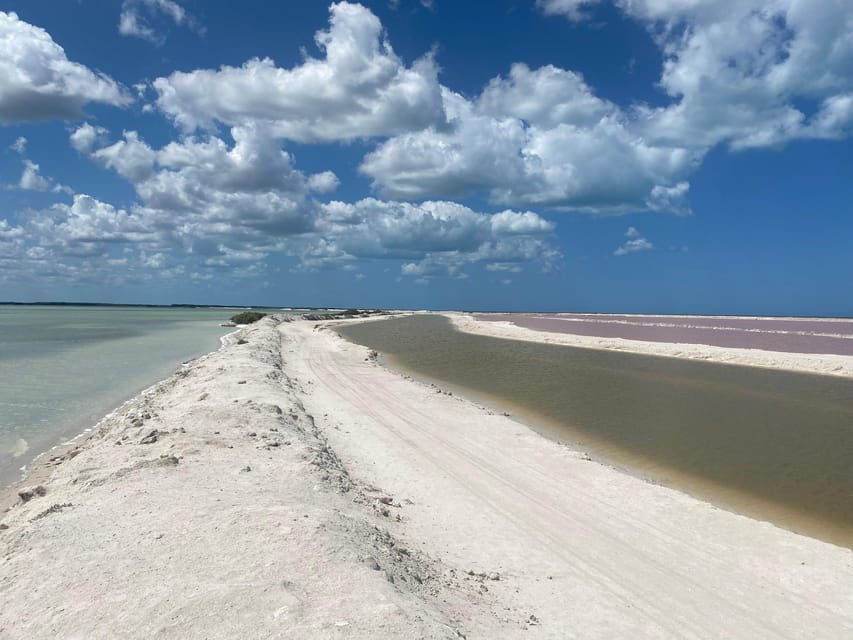 Flamingo Classic: Rio Lagartos and Las Coloradas