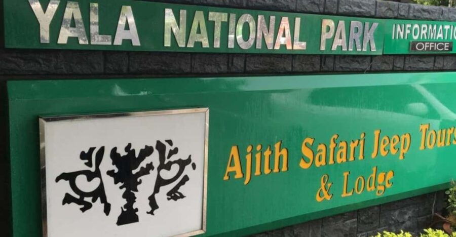 3 Best Safari Tours In Balapitiya