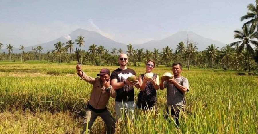 From Bali : Kawah Ijen Mt.Bromo With Local Experiences