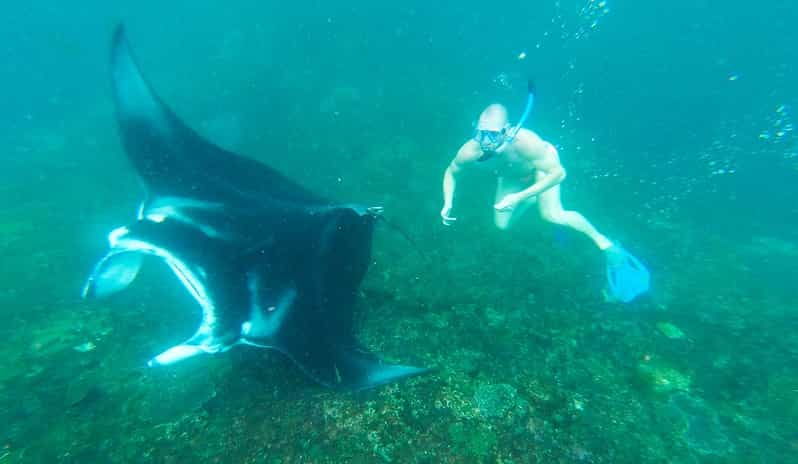 From Bali: Nusa Penida Manta Point Snorkeling and Land Tour - Tour Overview and Highlights