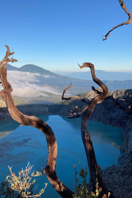 From Bali or Java: 3-Day Mount Bromo and Ijen Crater Tour