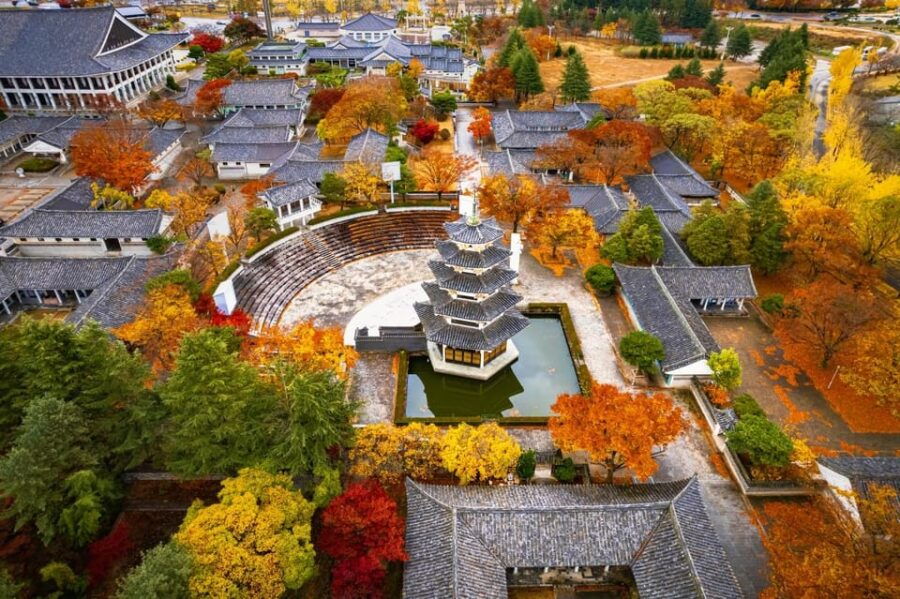 From Busan: Gyeongju Autumn Foliage One Day Tour