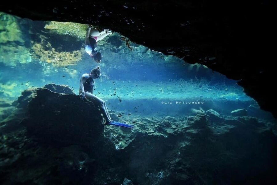 From Cancun: Snorkeling Cozumel The Heaven