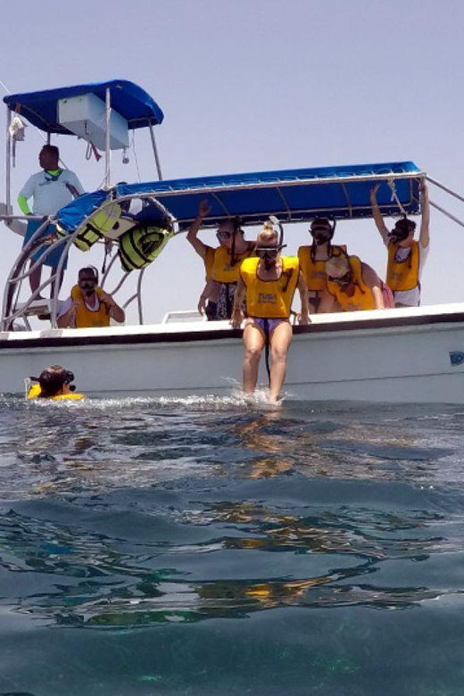 From Cancun: Snorkeling With Turtles Tour