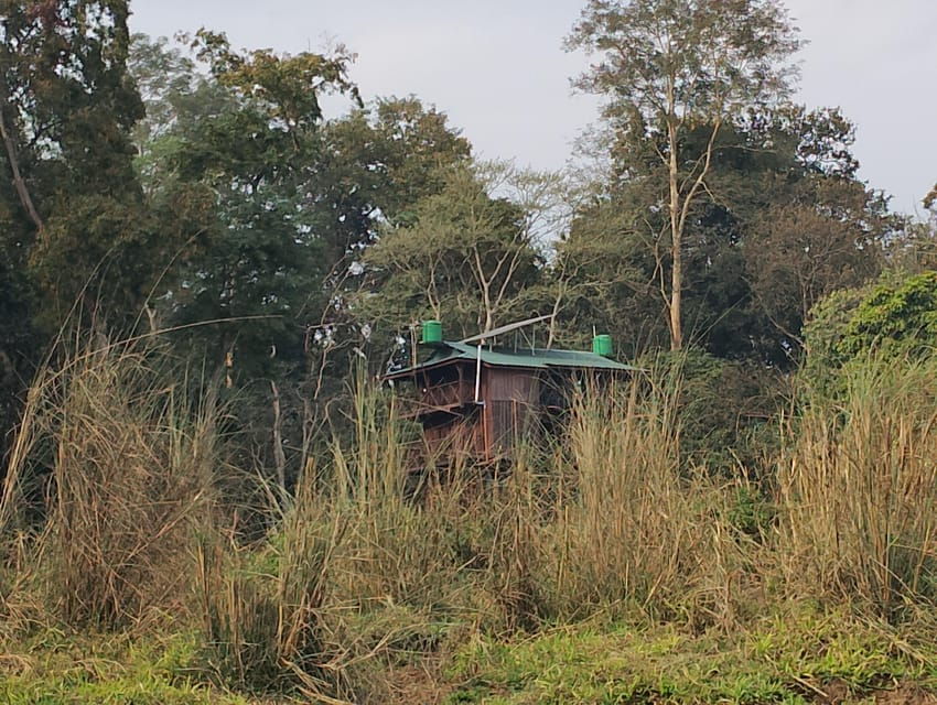 From Chitwan: Jungle Overnight Stay in Chitwan National Park