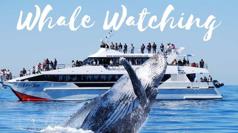 From Colombo/Bentota/Galle to Whale Watching Mirissa Daytour