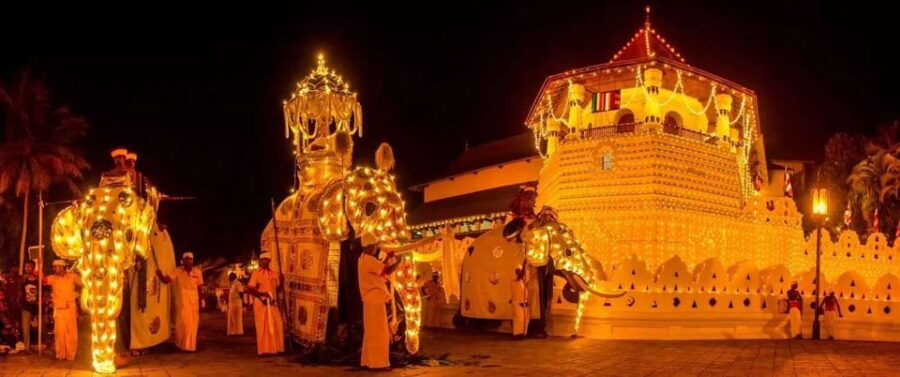 From Colombo : Day Trip to Kandy/ Pinnwala/ Royal Gardens - Tour Overview and Pricing