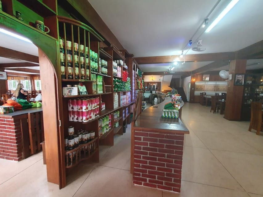From Colombo: Kandy & Pinnawala & Tea Factory Full Day Trip - Tour Overview and Pricing