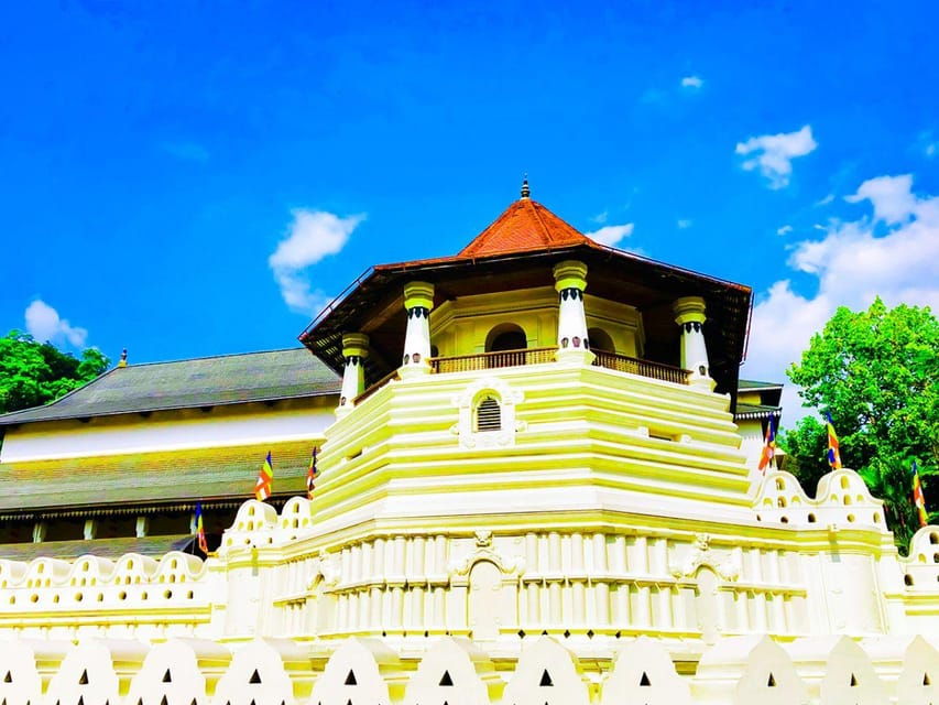 From Colombo: Pinnawala Elephant Orphanage & Kandy Day Tour