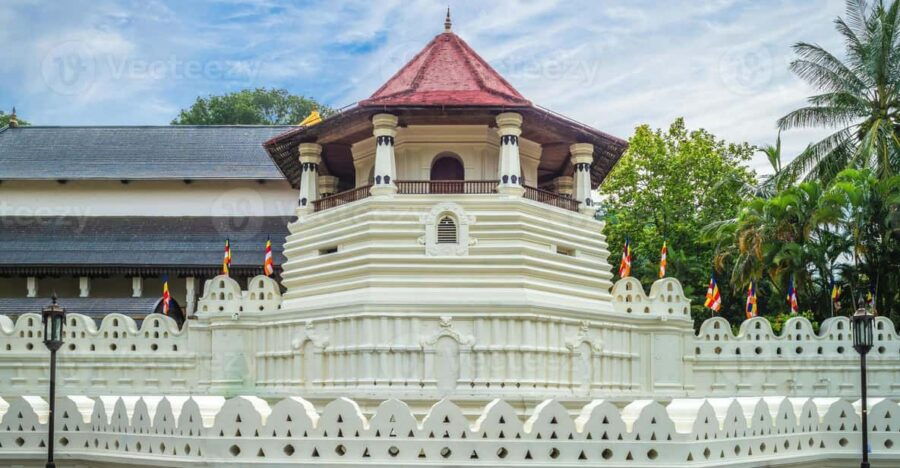 From Colombo to Kandy Day Trip by Private Transportation - Tour Overview and Pricing