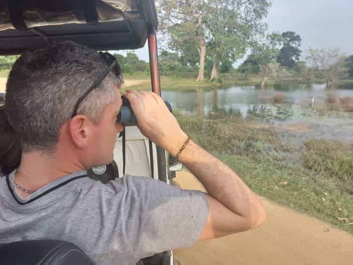 From Colombo: Udawalawe National Park Safari With Lunch