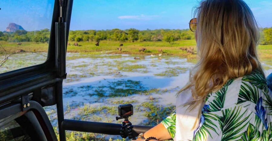 From ELLA: Drop off AHUNGALLA/BENTOTA & YALA Safari Tour