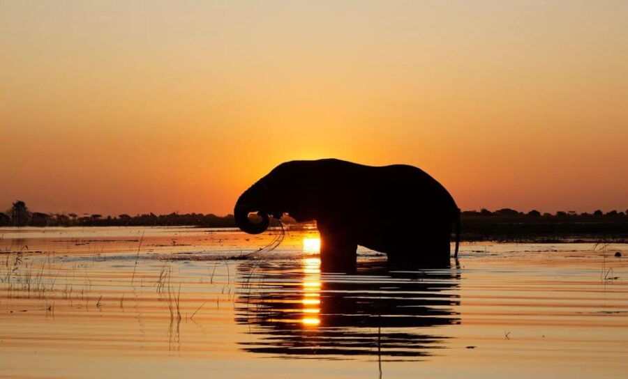 From Ella: Yala National Park Thrilling 4×4 Safari Adventure