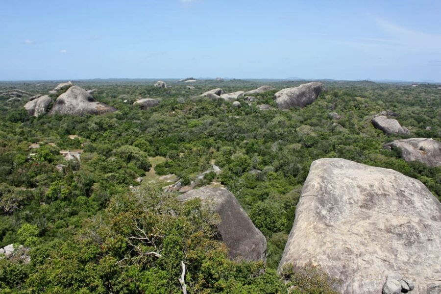 From Ella:Ravana Falls / Diyaluma Falls / Yala National Park - Tour Overview and Pricing