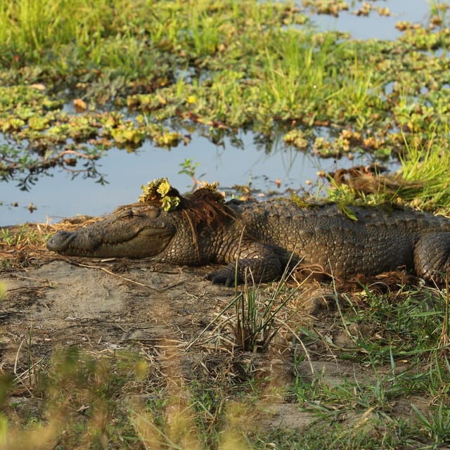From Galle/Mirissa/Hikkaduwa – Yala Full Day Safari Tour