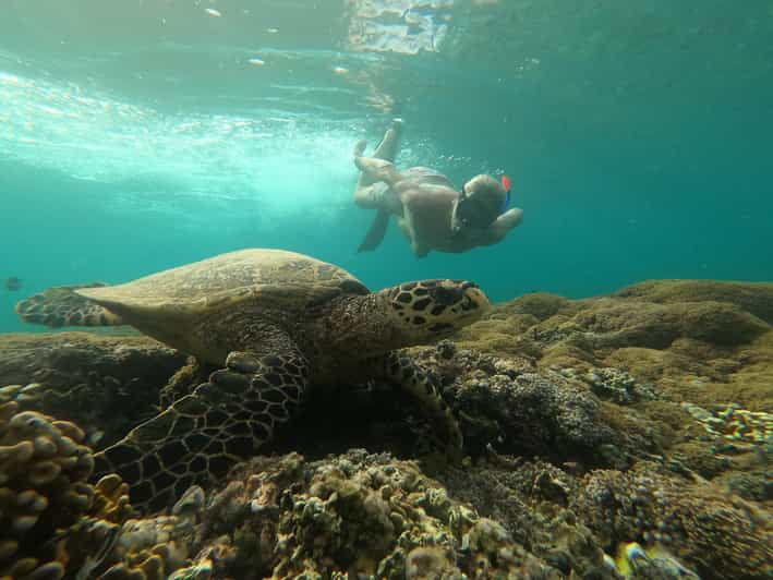 From Gili Air Private Snorkeling Tour 3 Gilis