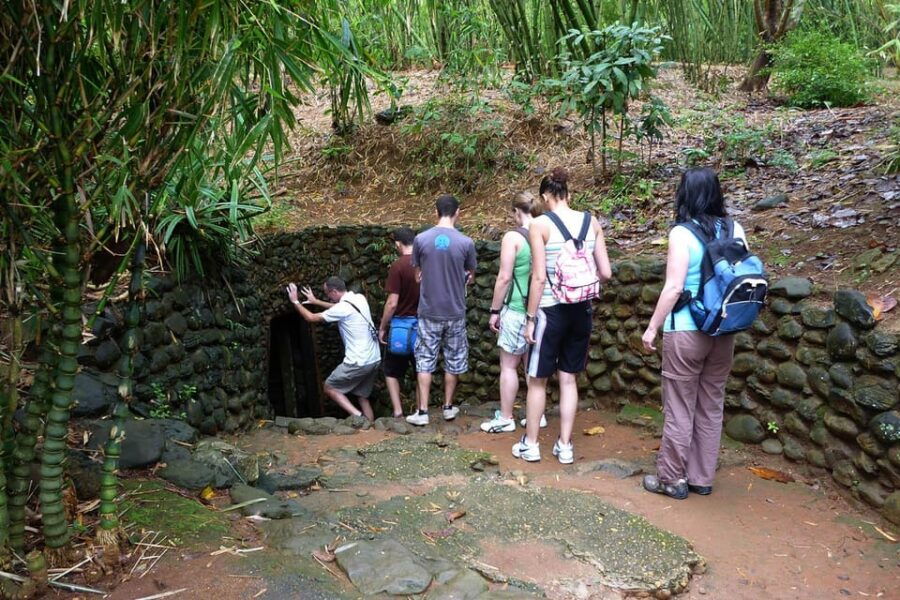 From Ho Chi Minh: Cu Chi Tunnels Tour Morning or Afternoon - Overview of Cu Chi Tunnels Tour
