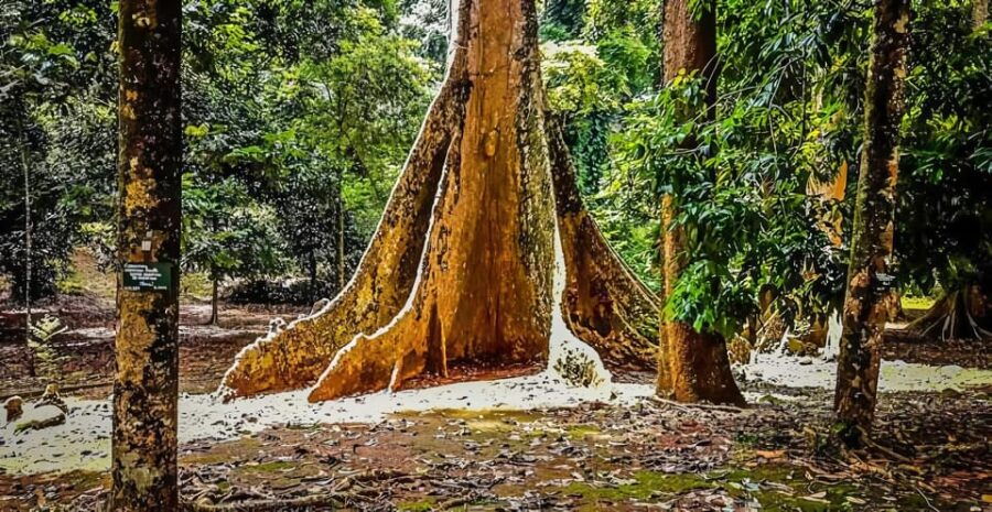 From Jakarta : Botanical Garden, Waterfalls, Natural Views - Overview of the Tour