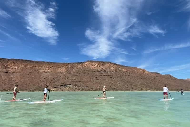 From La Paz: Sea Lions & Paddleboard Tour in Espiritu Santo
