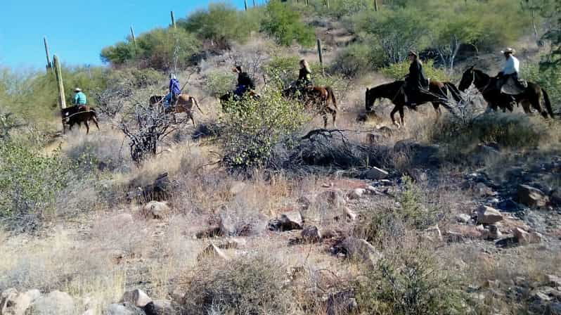 From Loreto: Baja Desert Horseback Riding Tour