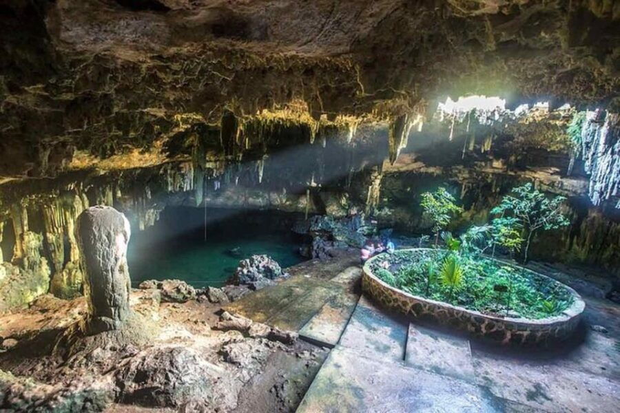 From Merida: Explore All the Cenotes of Homun Day Trip - Tour Overview and Details