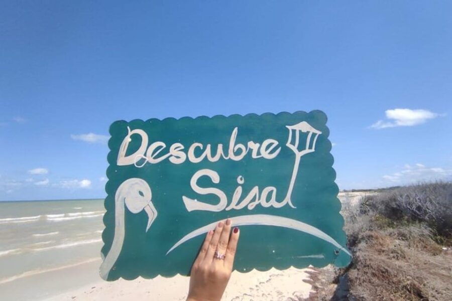 From Merida: Sisal Beach and Mangroves Kayak Tour - Tour Overview and Pricing