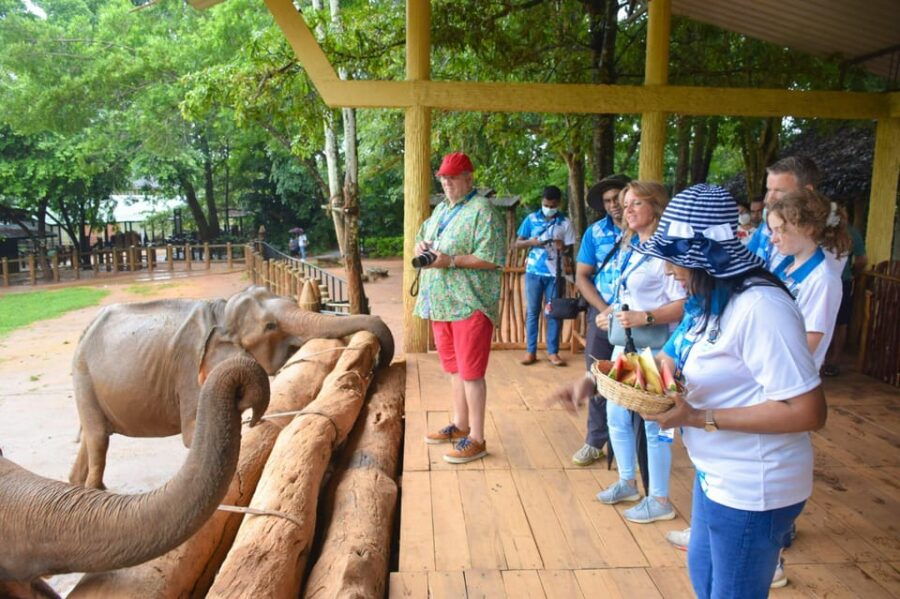 From Negombo: Kandy Transfer With Elephant Orphanage Visit