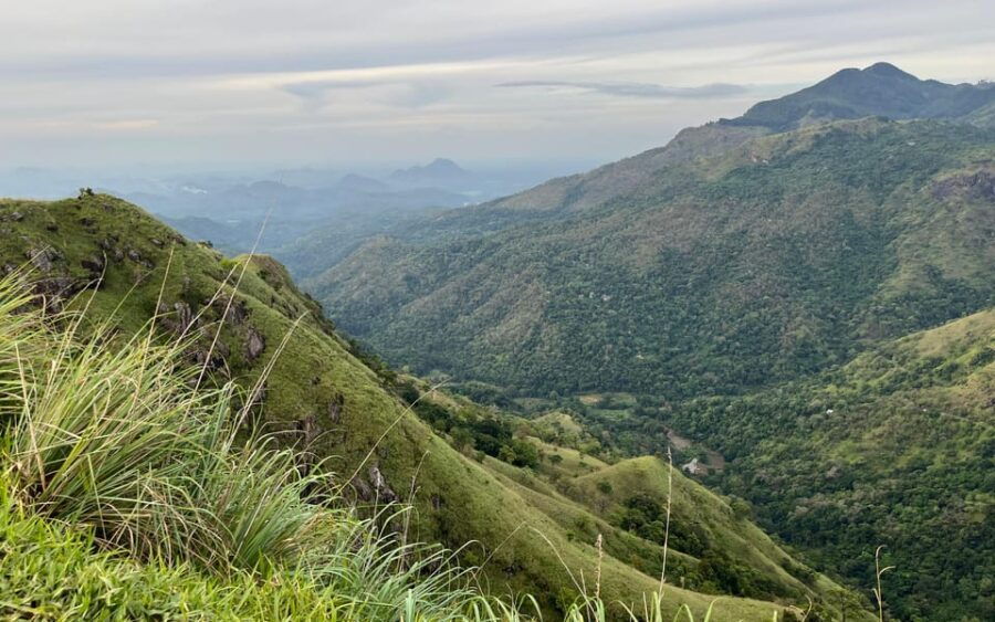 From Nuwara Eliya: Ella City Tour With Little Adams Peak - Tour Overview and Pricing