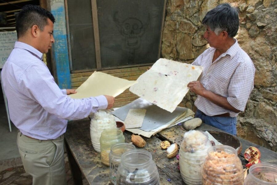 From Oaxaca: San Agustín Etla Quesillo and Papermaking Tour - Tour Overview