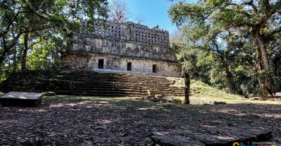 From Palenque: Yaxchilán and Bonampak Tour - Tour Overview