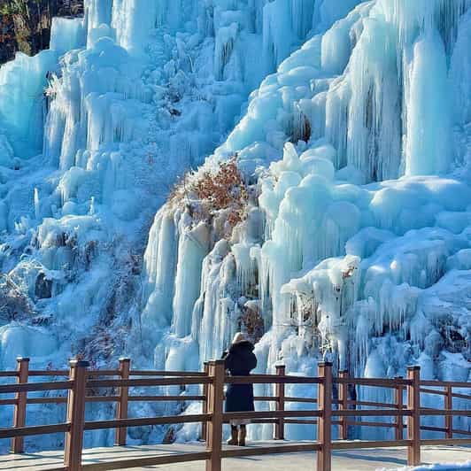 From Seoul : Eobi Valley, Nami Island, Alpaca, Korean Garden