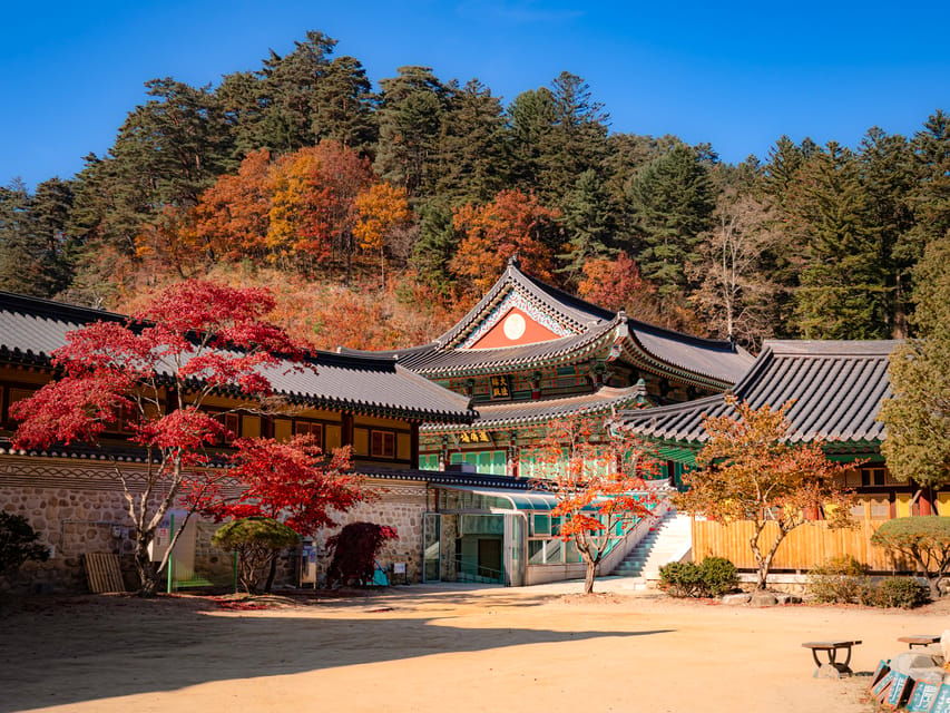 From Seoul: Odaesan or Daedunsan Park Fall Foliage Day Tour
