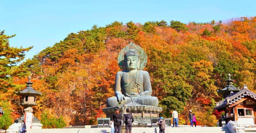From Seoul: Seoraksan Maple Mountain With Cable Car