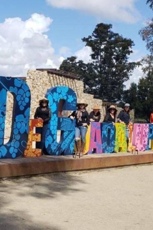 From Tijuana: Valle De Guadalupe Shared Winery Tour