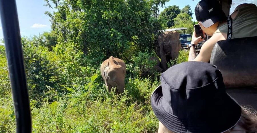 From Waligama/Mirissa Transfer to Ella via Udawalawa Safari - Tour Overview