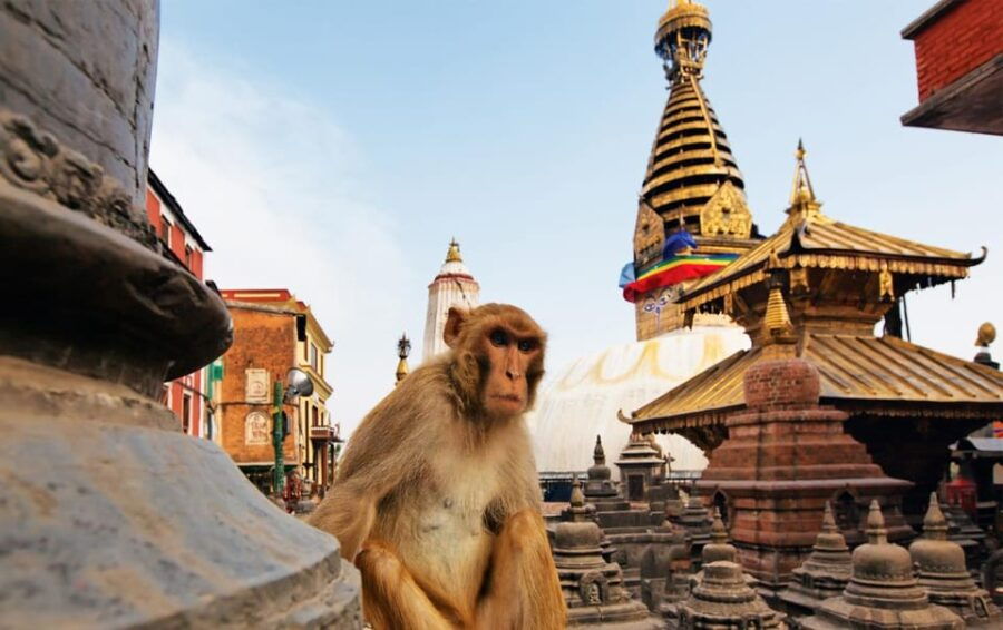 Full Day Car Hire With Driver in Pokhara - Service Overview