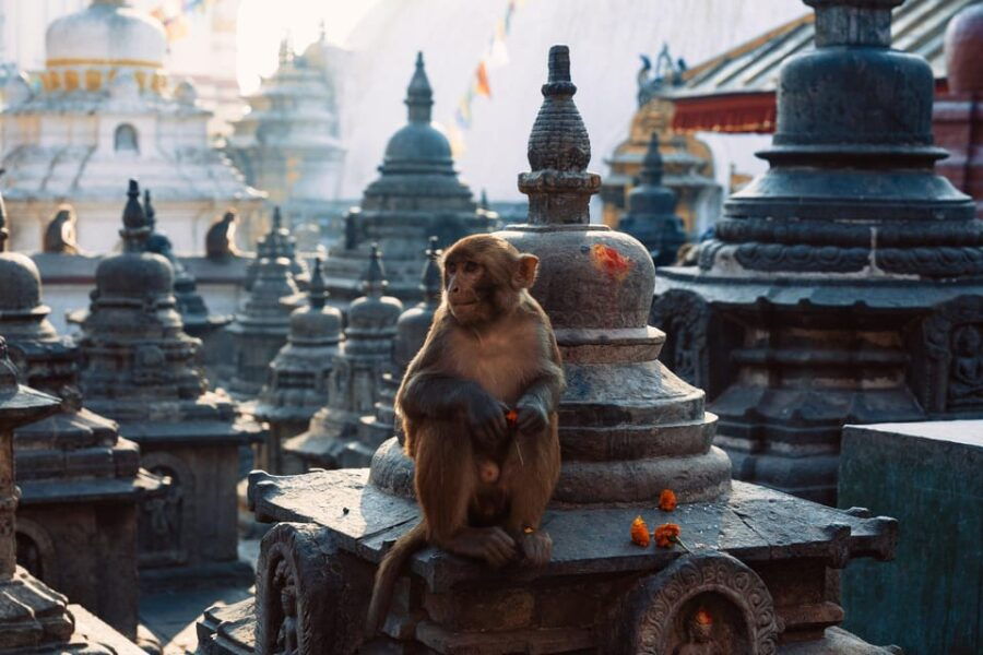 Full Day Kathmandu Sightseeing Tour (UNESCO) - Tour Overview and Pricing