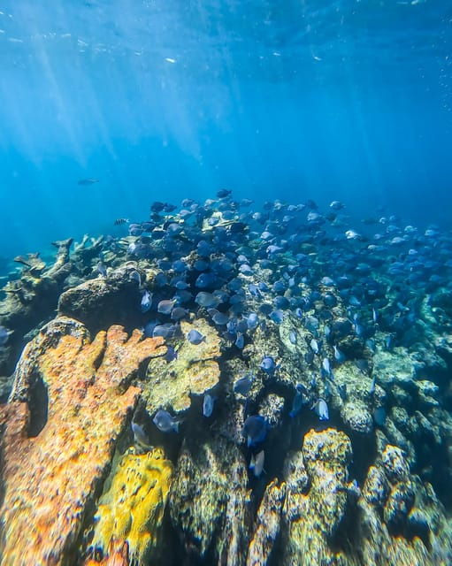 Full-Day Private Snorkel Tour in Tulum and Sian Kaan