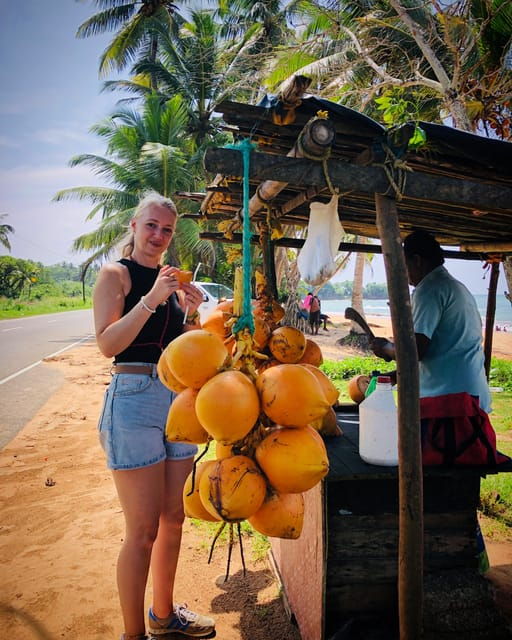 Galle Day Tour - Tour Overview