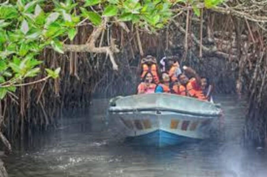 Galle Transfer Tour From Colombo/Negombo