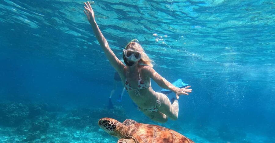 Gili Island Private Snorkeling & Visit Baby Turtles